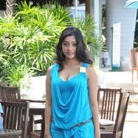 Payal Ghosh New Hot and Spicy Gallery | Picture 90637